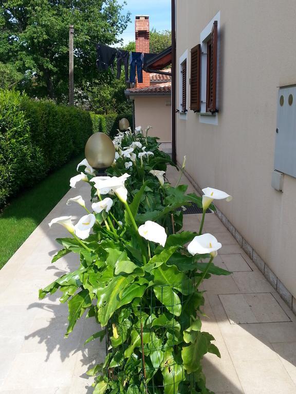 Nevija B&B Poreč Buitenkant foto